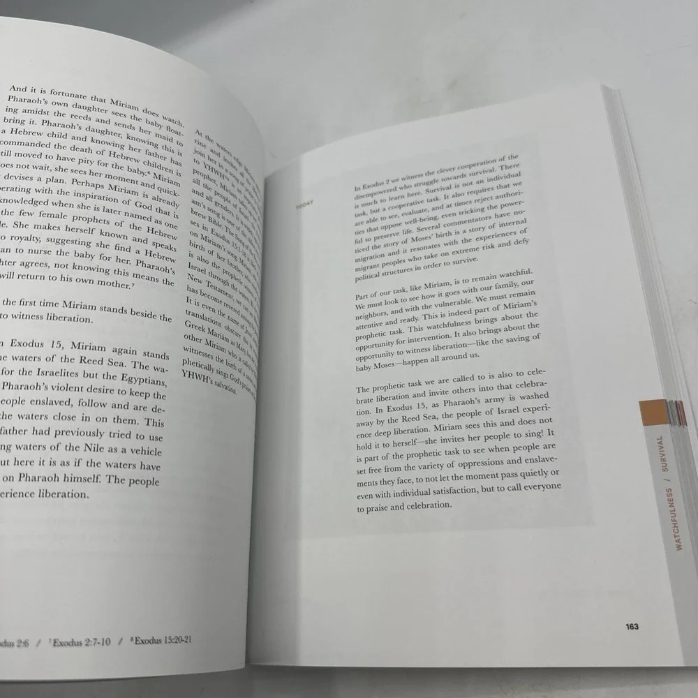 Good and Beautiful Bible Study Vol 1 by Alabaster Company Paperback 2022